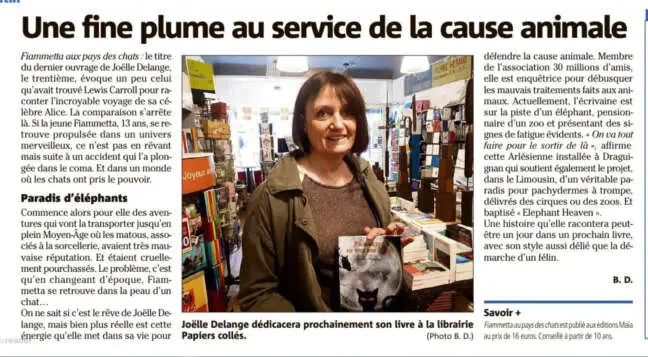Fiammetta au pays des chats – Image 4