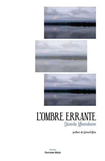 L'Ombre errante