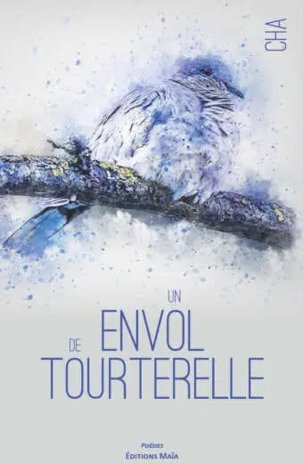 Un envol de tourterelle