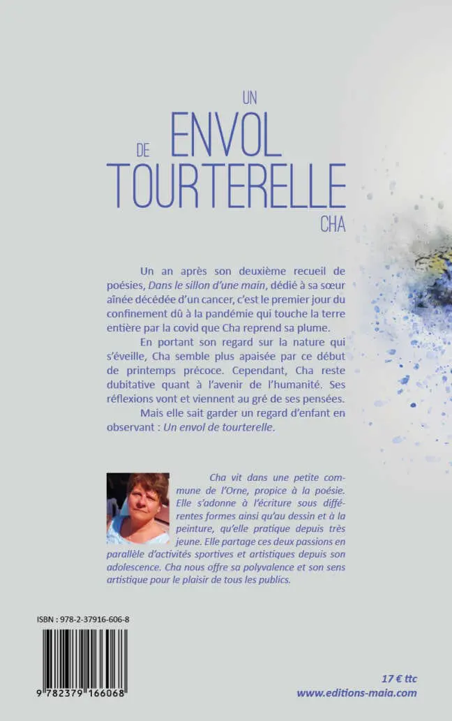 Un envol de tourterelle – Image 2