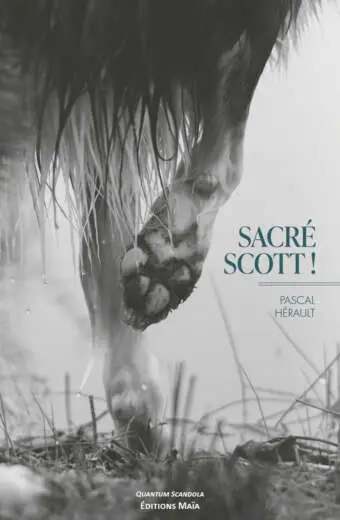 Sacré Scott !