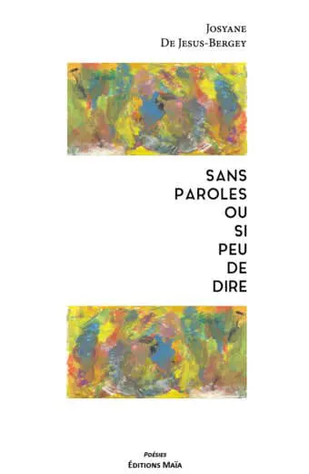 Sans paroles ou si peu de dire