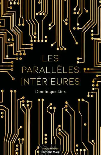 Les paralleles interieures Dominique Linx