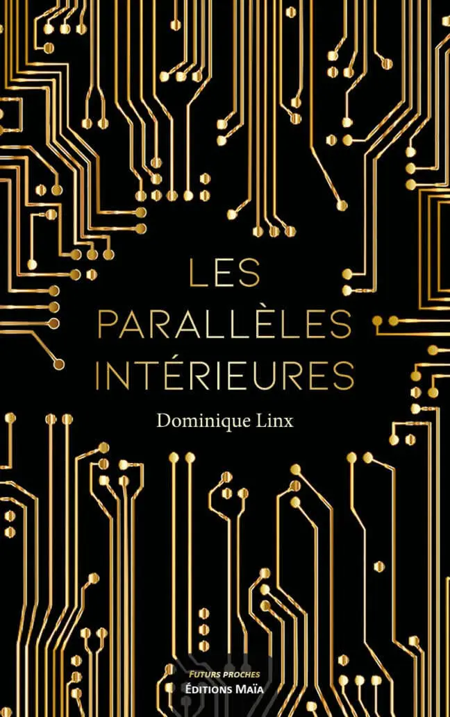 Les paralleles interieures Dominique Linx