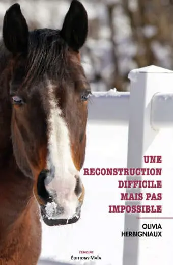 Une reconstruction difficile mais pas impossible Olivia Herbigniaux