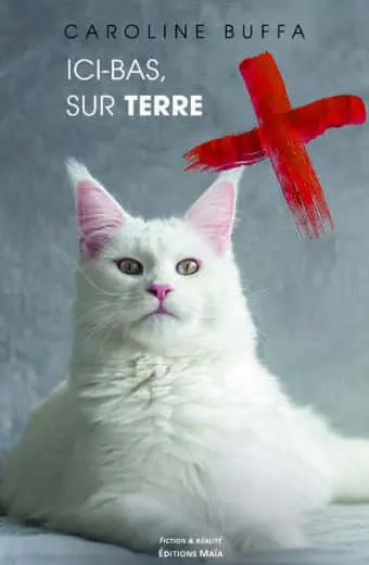 Ici-bas, sur Terre Caroline Buffa
