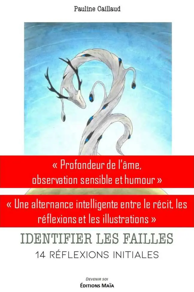 Identifier les failles – Image 3