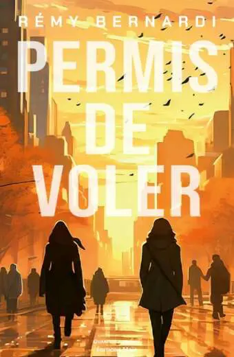 Rémy Bernardi - Permis de voler