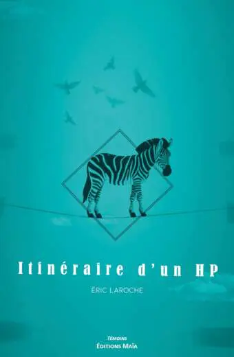 Itineraire d'un HP Eric Laroche