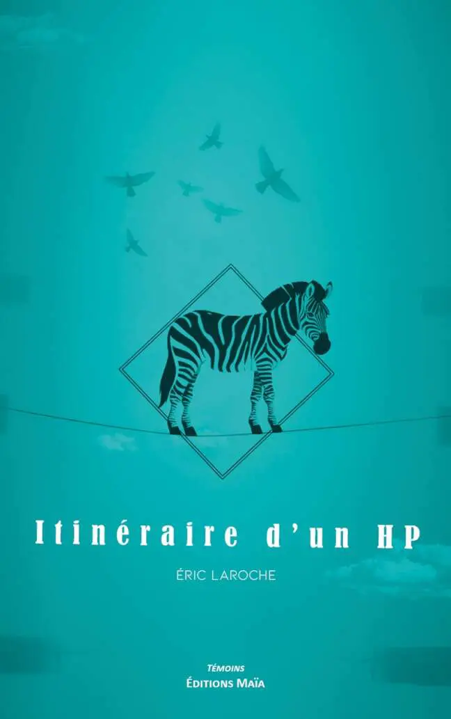 Itineraire d'un HP Eric Laroche