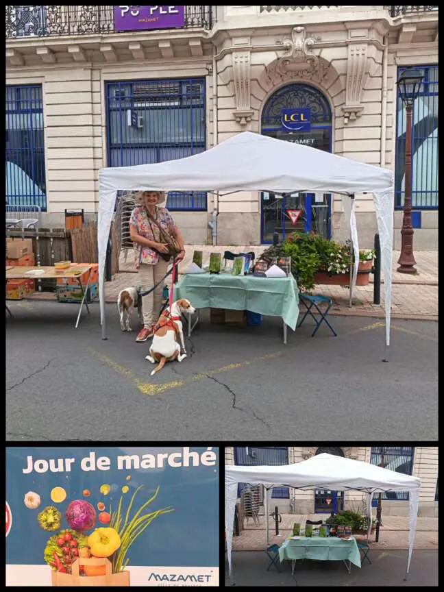 La Gifle – Image 11