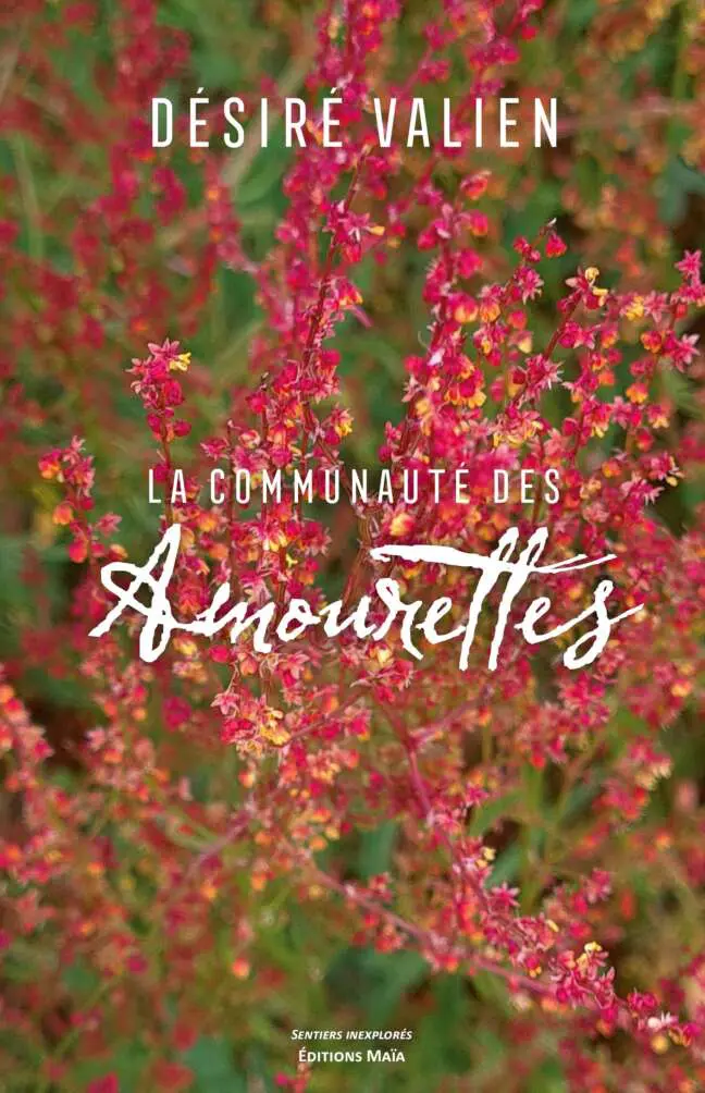 La Communauté des Amourettes - Désiré Valien