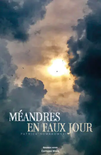 Méandres en faux jour - Patrick Nowakowski