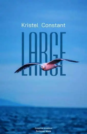 Kristel Constant, Large
