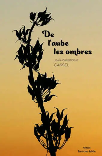 Jean-Christophe Cassel, De l'aube les ombres