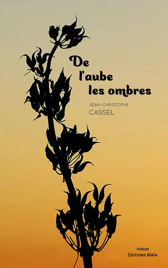 Jean-Christophe Cassel, De l'aube les ombres