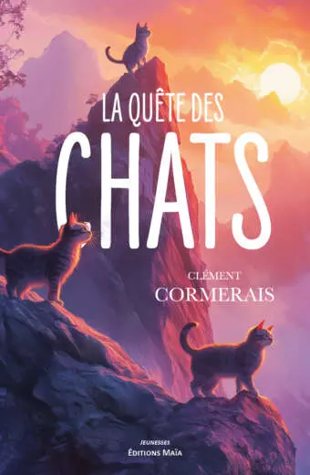 Clément Cormerais, La Quête des chats