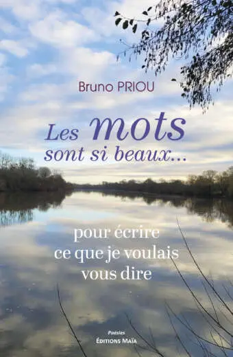 Bruno Priou, Les mots sont si beaux... pour écrire ce que je voulais dire
