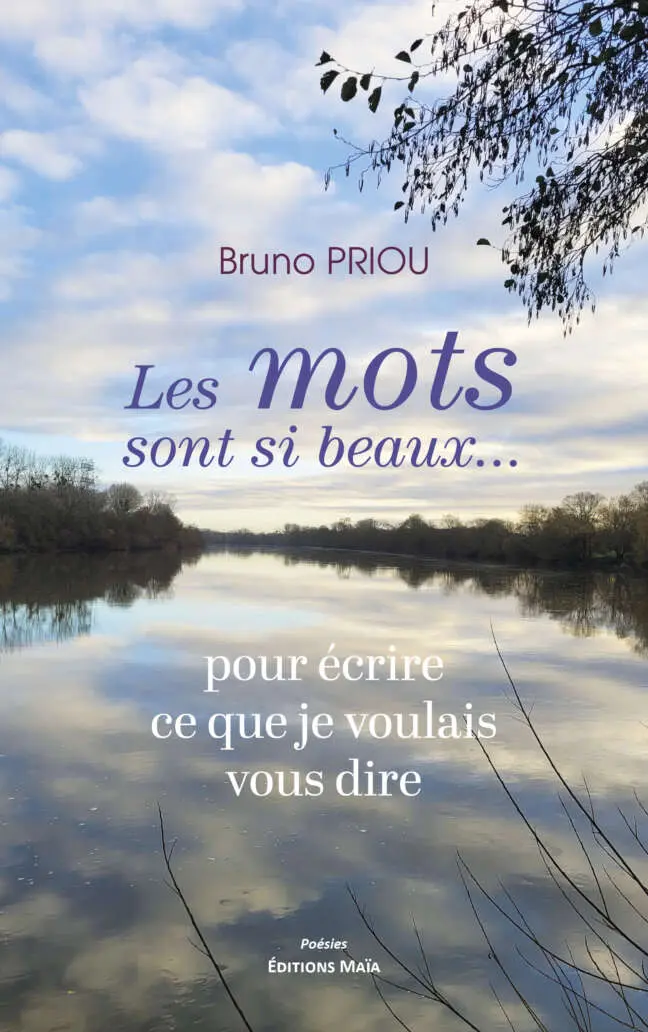 Bruno Priou, Les mots sont si beaux... pour écrire ce que je voulais dire