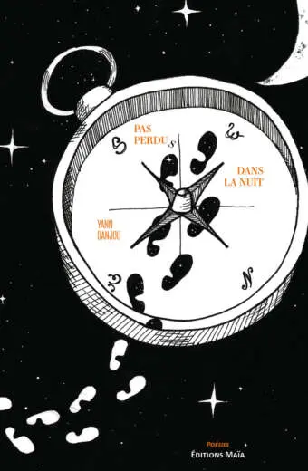 Yann Danjou, Pas perdus dans la nuit