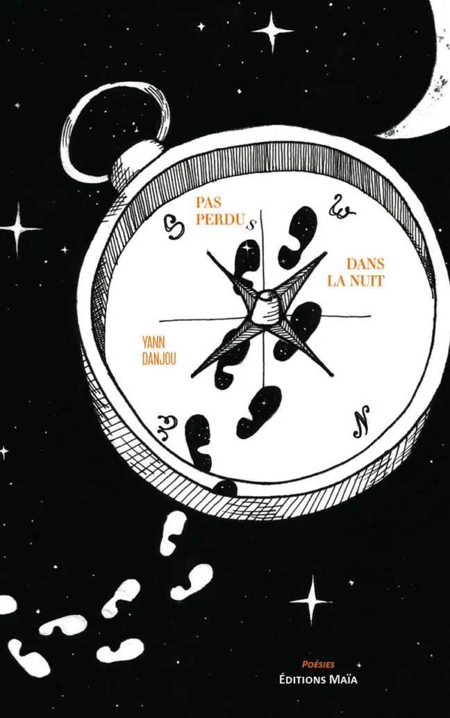 Yann Danjou, Pas perdus dans la nuit