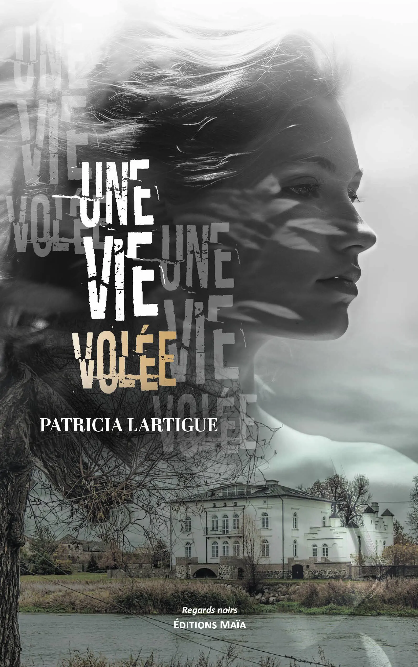 Patricia Lartigue, Une vie volée
