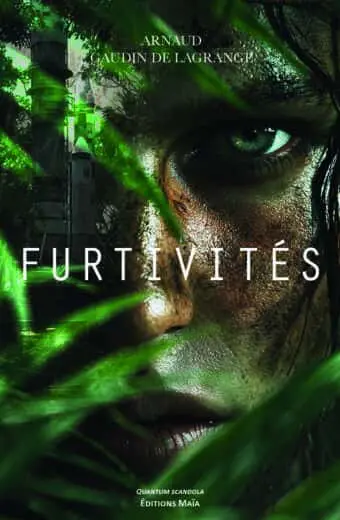 Arnaud Gaudin de Lagrange, Furtivités