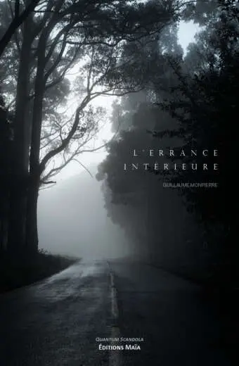 Guillaume Monpierre, L’errance intérieure