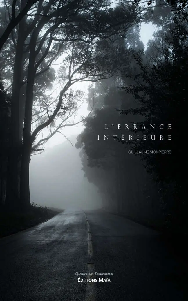 Guillaume Monpierre, L’errance intérieure