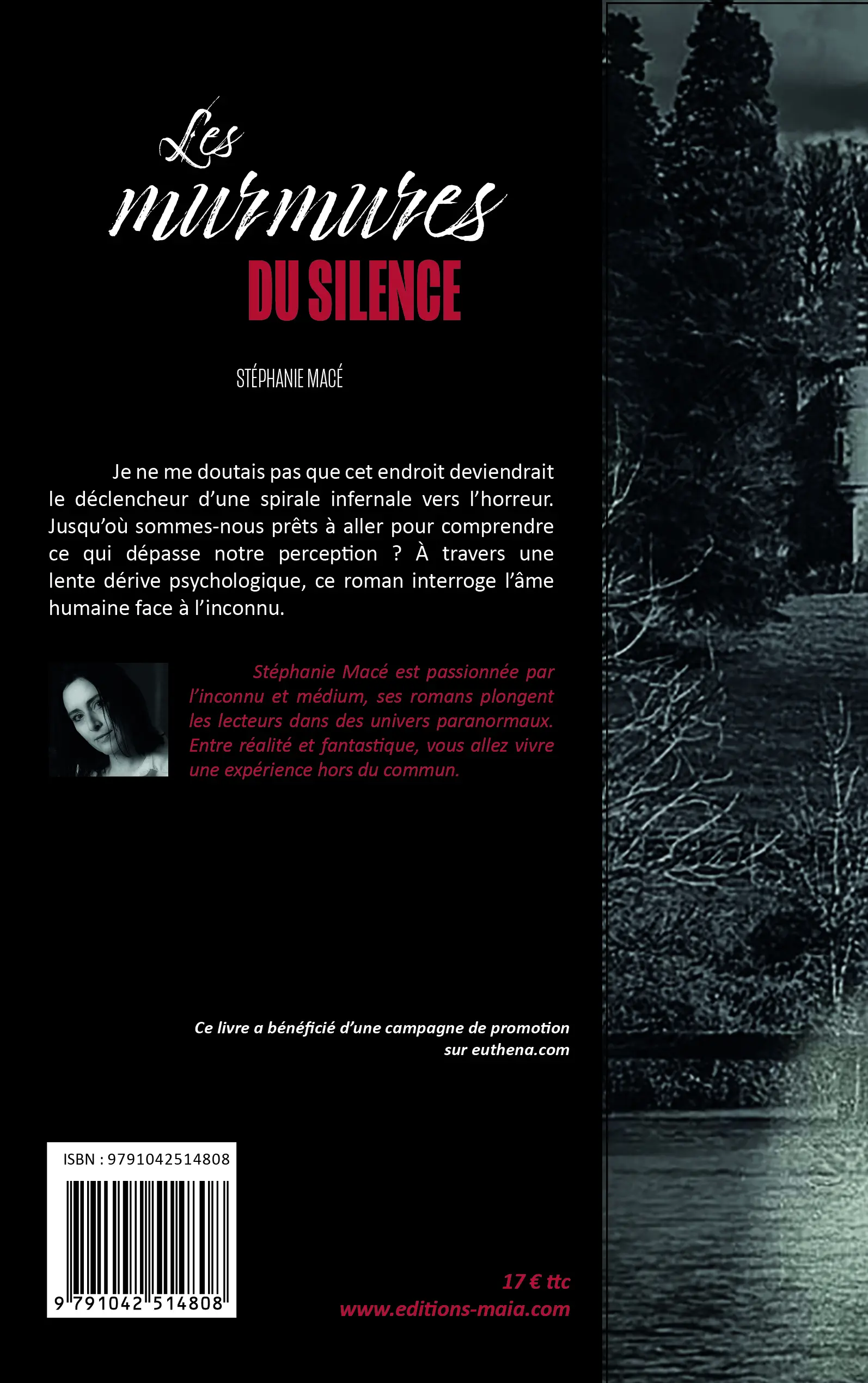 Stéphanie Macé, Les murmures du silence