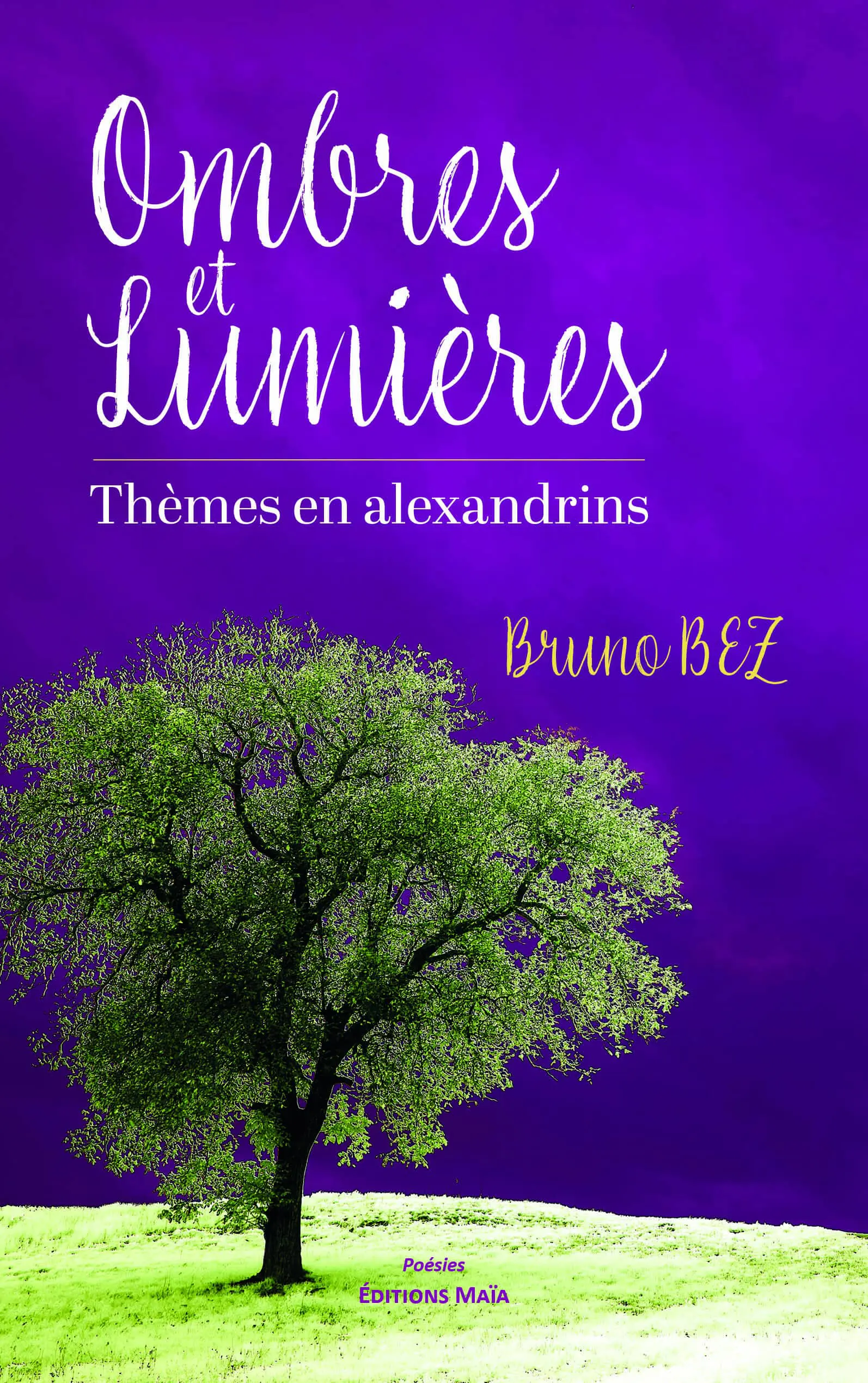 Bruno Bez, Ombres et lumières, Thèmes en alexandrins