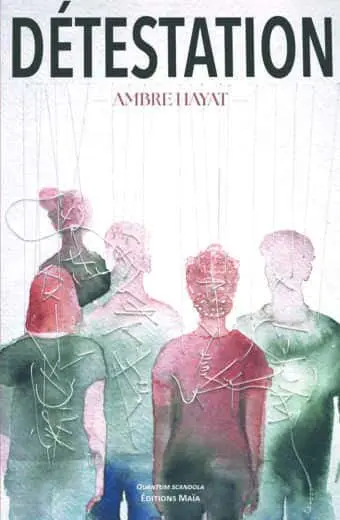 Ambre Hayat, Détestation