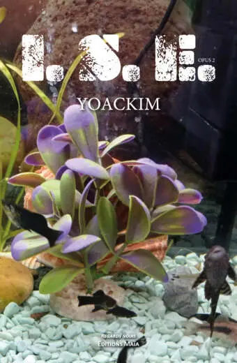 Yoackim, I.S.E, Opus 2