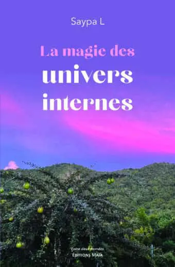 Saypa L, La magie des univers internes