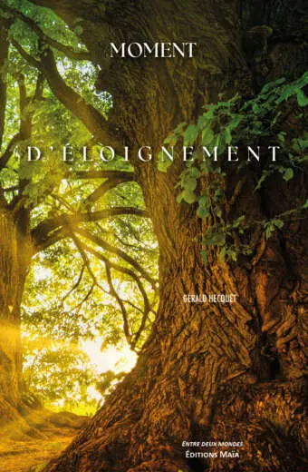 Gérald Hecquet, Moment d’éloignement