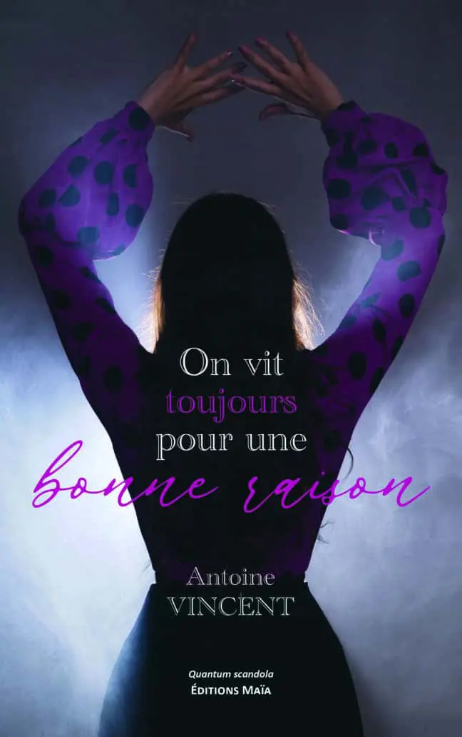 Antoine Vincent, On vit toujours pour une bonne raison
