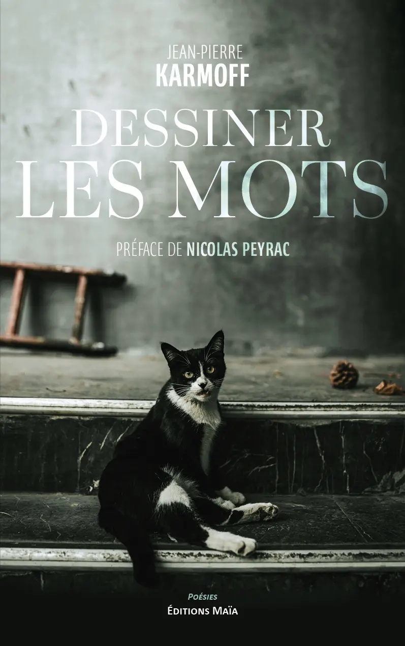 Jean-Pierre Karmoff, Dessiner les mots