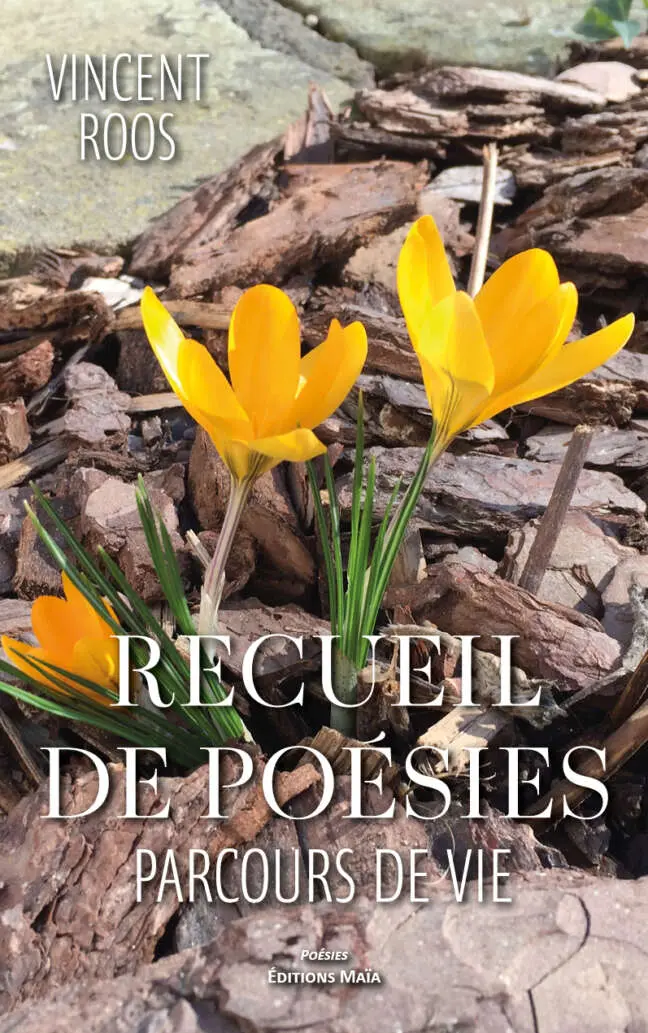 Vincent Roos, Recueil de poésies
