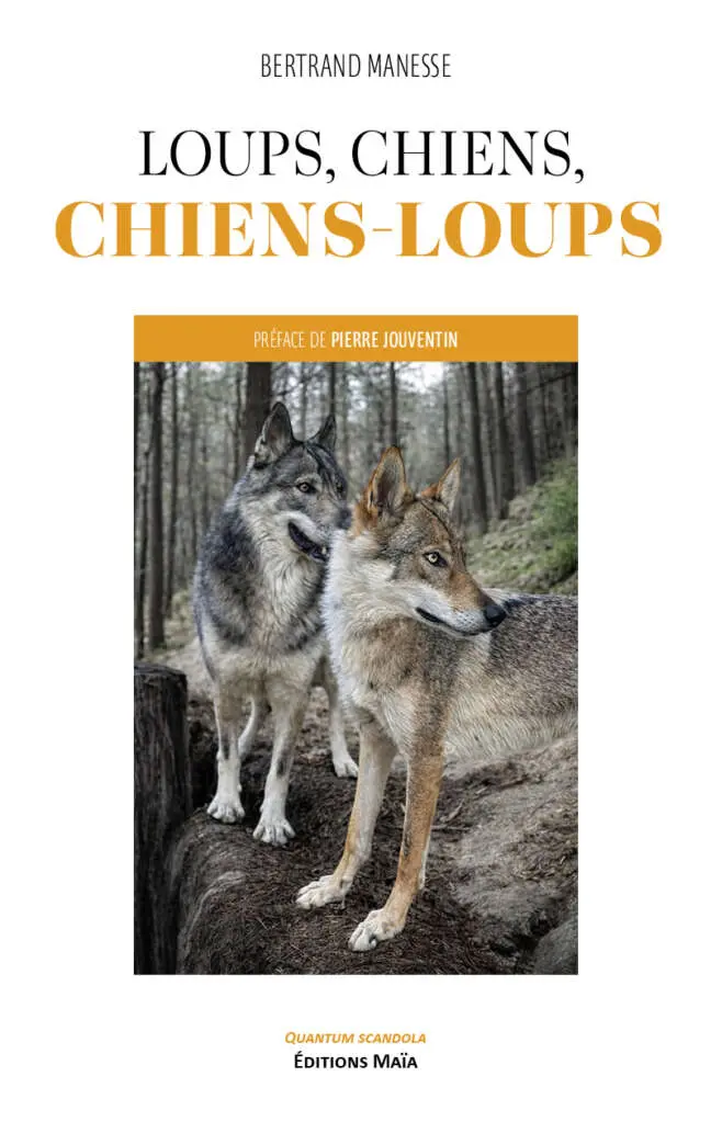 Bertrand Manesse, Loups, chiens, chiens-loups