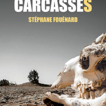 Entretien avec Stéphane Fouénard – Carcasses