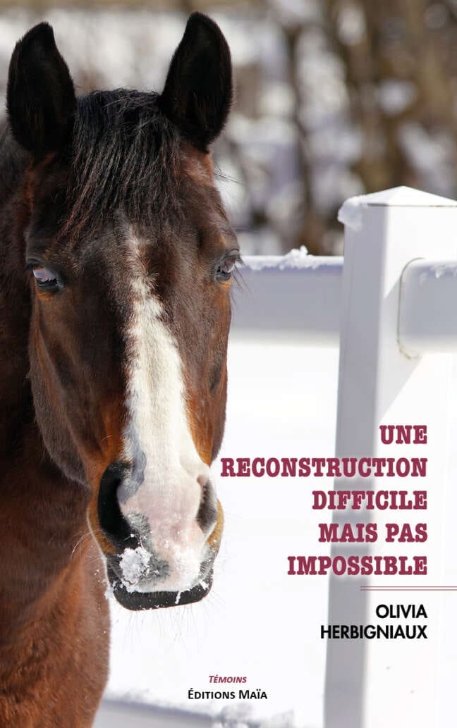 Une reconstruction difficile mais pas impossible Olivia Herbigniaux