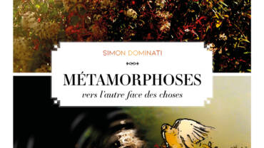 Metamorphoses Simon Dominati