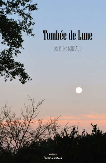 Tombee de lune Delphine Boutaud