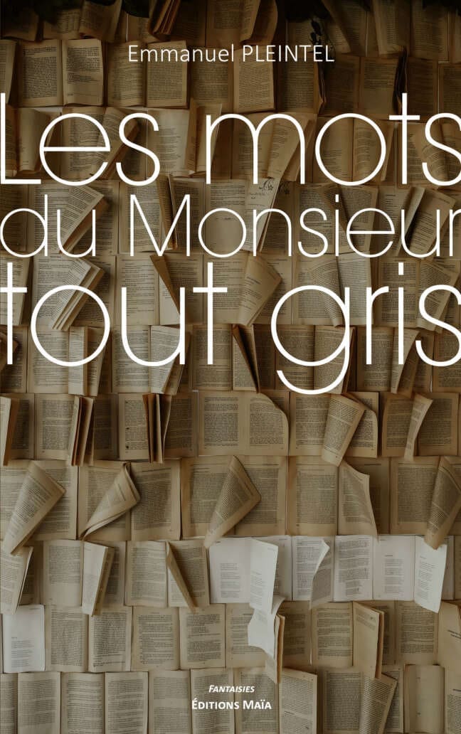 Emmanuel PLEINTEL - Les mots du Monsieur tout gris