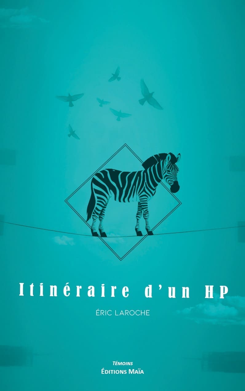 Itineraire d'un HP Eric Laroche