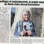 Sortilèges et enchantements – Image 3