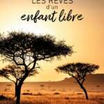 Pascal Bizit-Bila - Les rêves d'un enfant libre