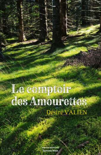 Désiré VALIEN - Le comptoir des amourettes
