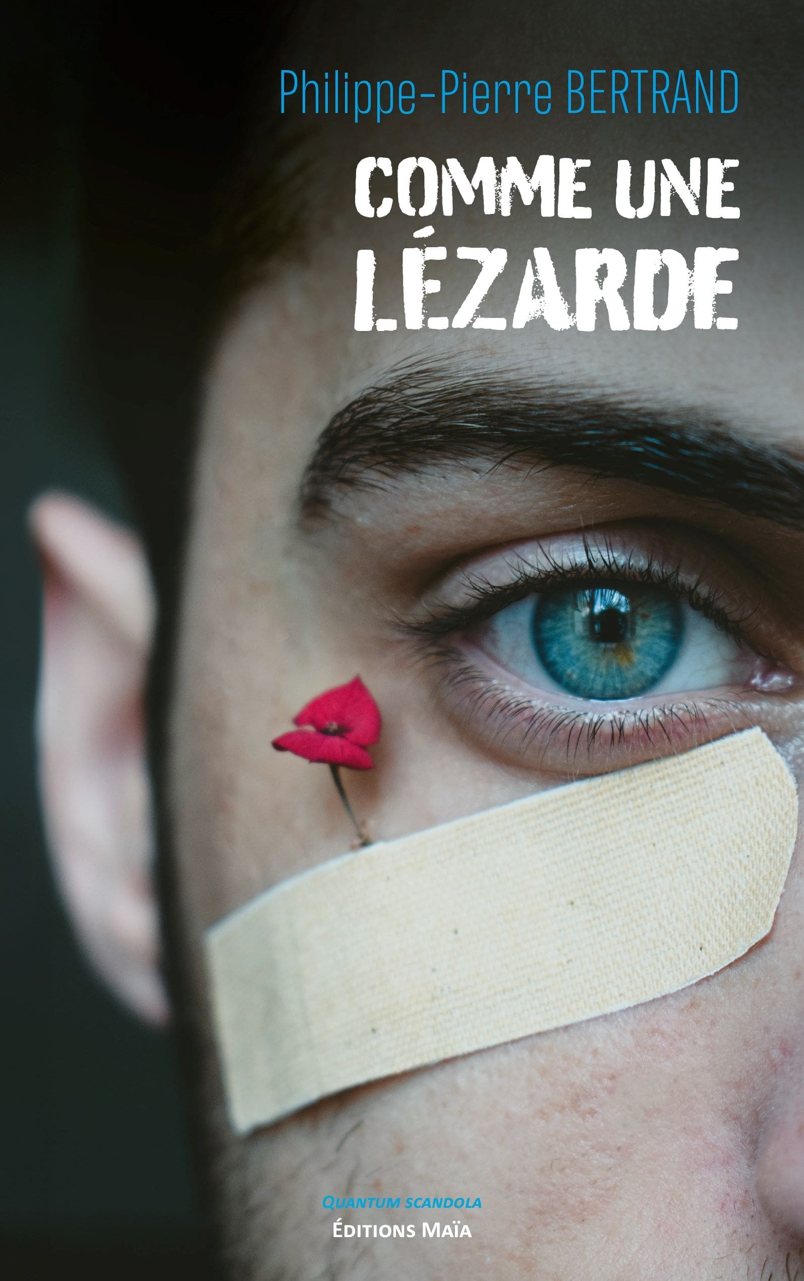 Philippe-Pierre BERTRAND - Comme une lézarde