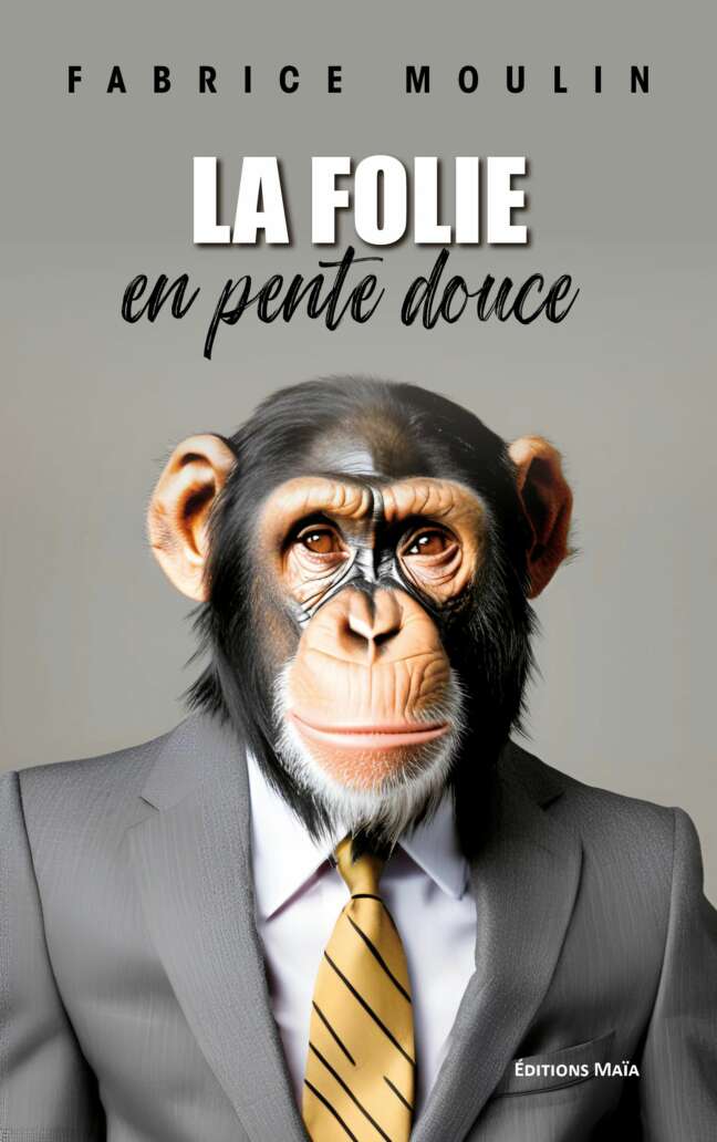 La Folie en pente douce_Moulin